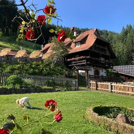 Gemuetliche Naehe Europapark Rust Offenburg Strassburg *